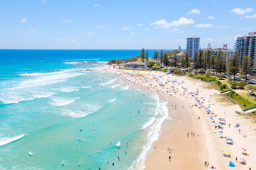 image upload c_limit,f_auto,w_1000 v1764715716 blogs whats-it-living-tweed-coast whats-it-living-tweed-coast2