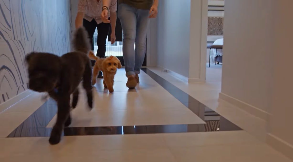 image upload c_limit,f_auto,w_2000 v1760675286 content-images Current%20Offers Better-with-brighton5