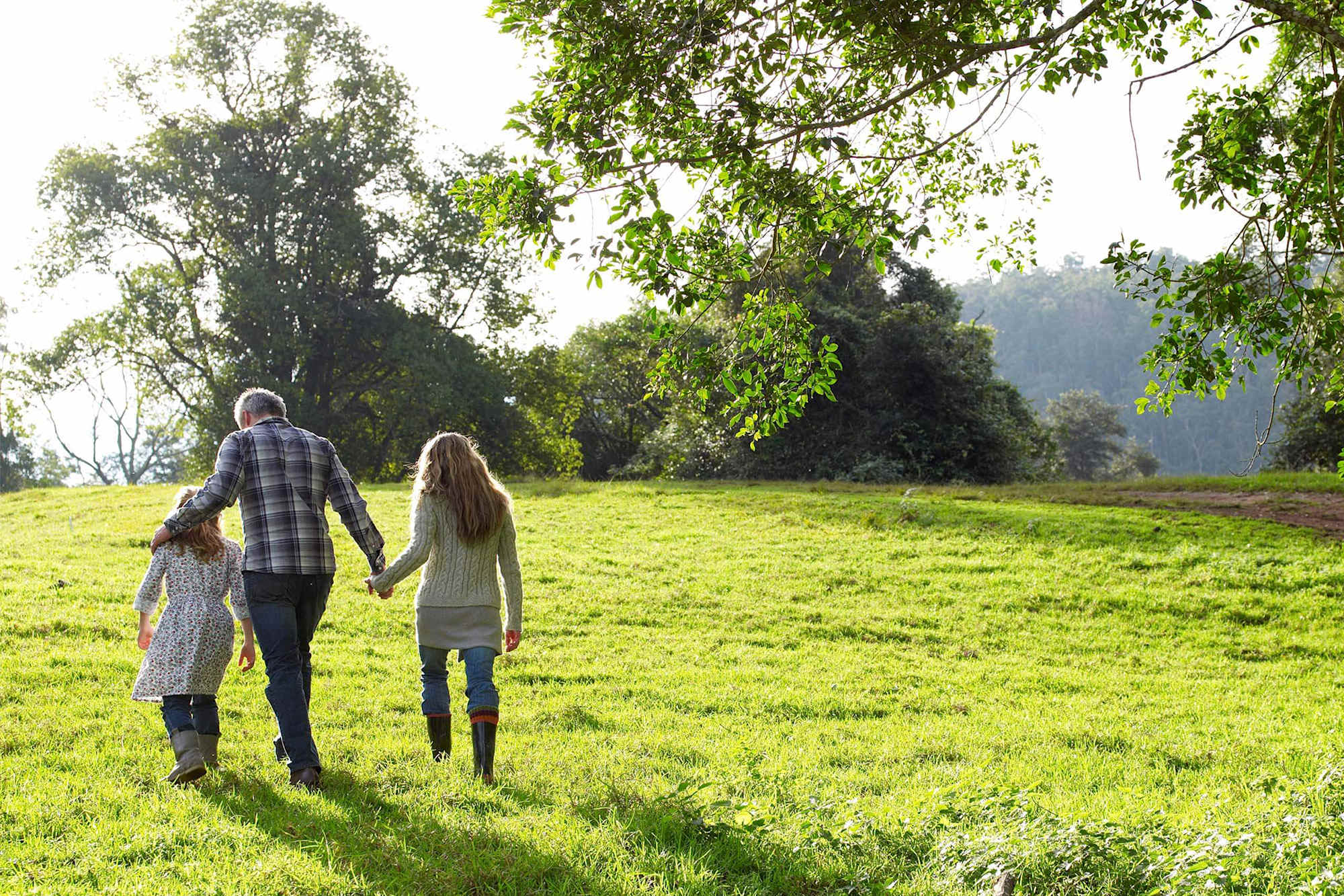 Government Grant - Vacant Land Concession
