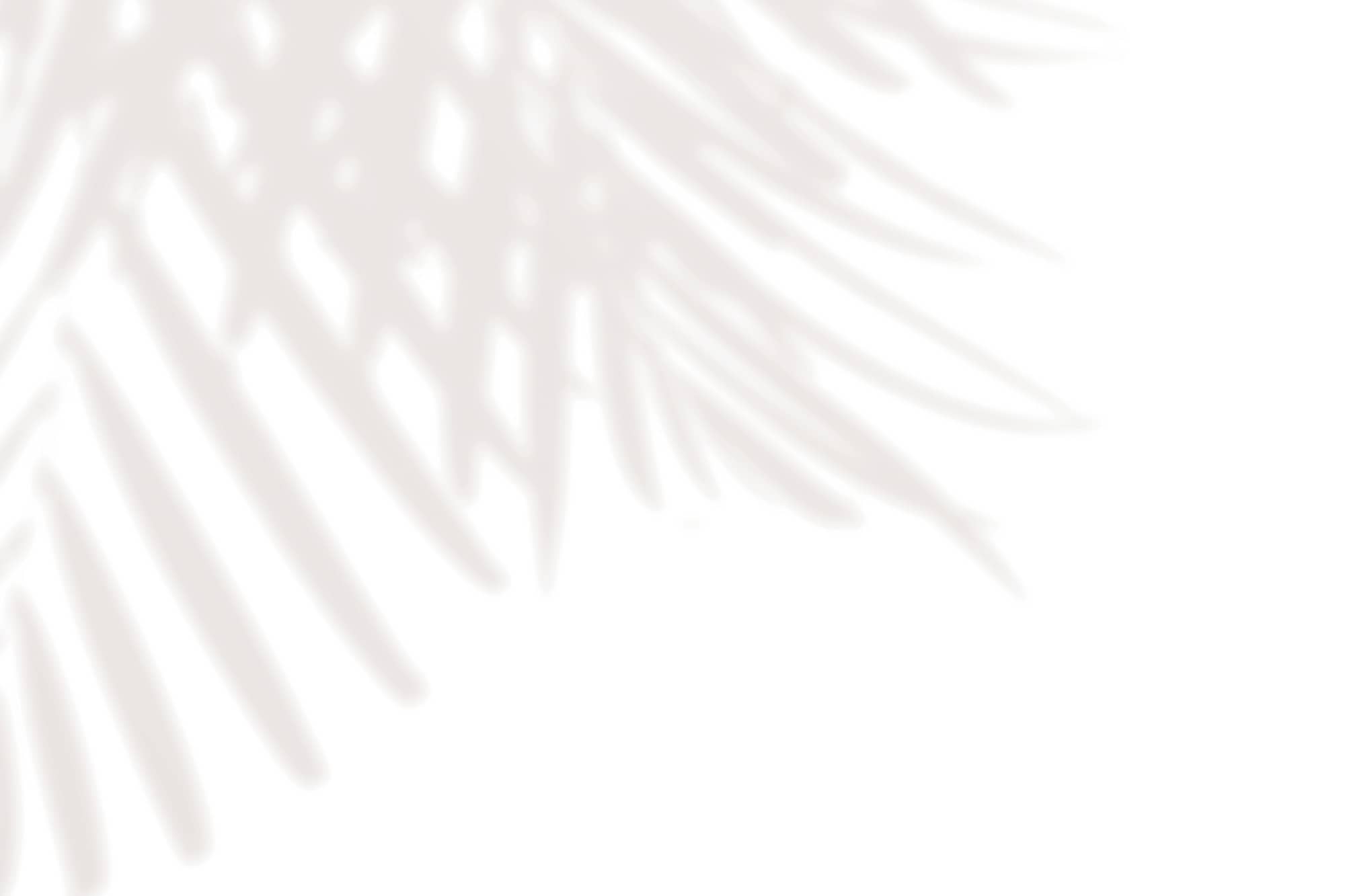 image upload c_limit,f_auto,w_2000 v1762906340 content-images dappled-light-backgrounds BH-DappledLight-Website-2100x1400px-Nov25-4-LIGHTENED