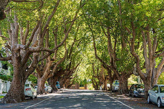 Find House and Land Packages in North Brisbane with Brighton Homes.