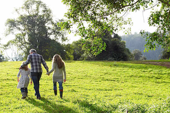 Government Grant - Vacant Land Concession