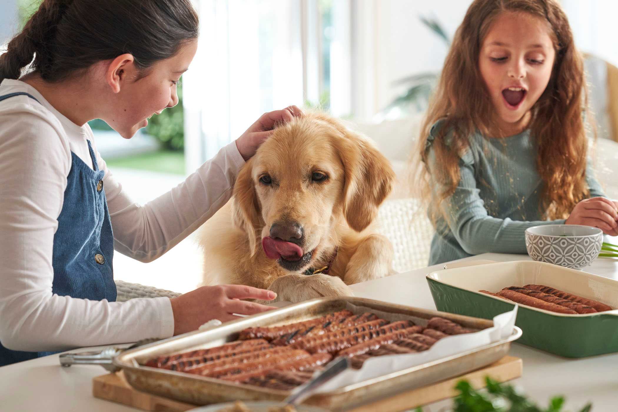 image upload c_limit,f_auto v1760049332 content-images lifestyle brighton-homes-qld-home-builder-41